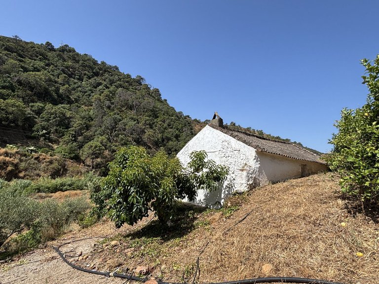 Plot for Sale in El Padron, Malaga 20