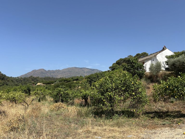 Plot for Sale in El Padron, Malaga 21