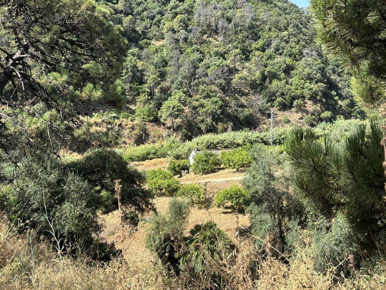 Plot for Sale in El Padron, Malaga 5