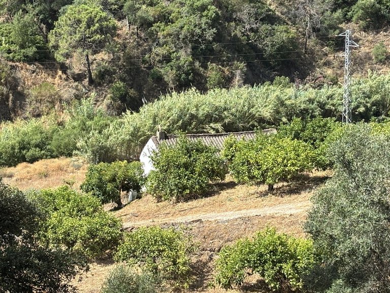 Plot for Sale in El Padron, Malaga 6