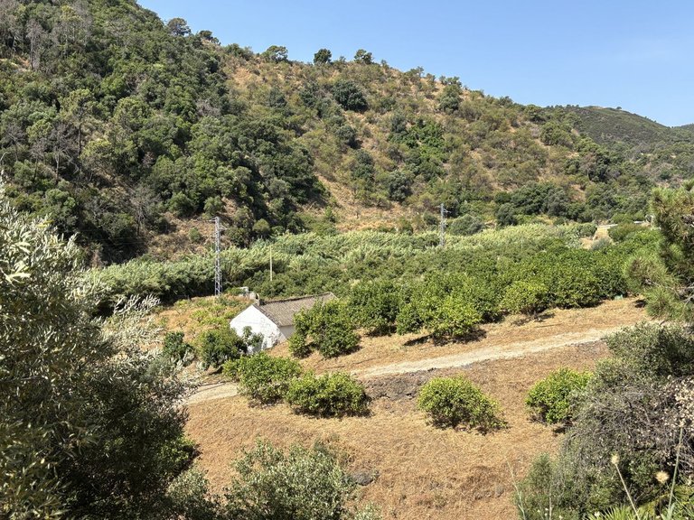 Plot for Sale in El Padron, Malaga 7