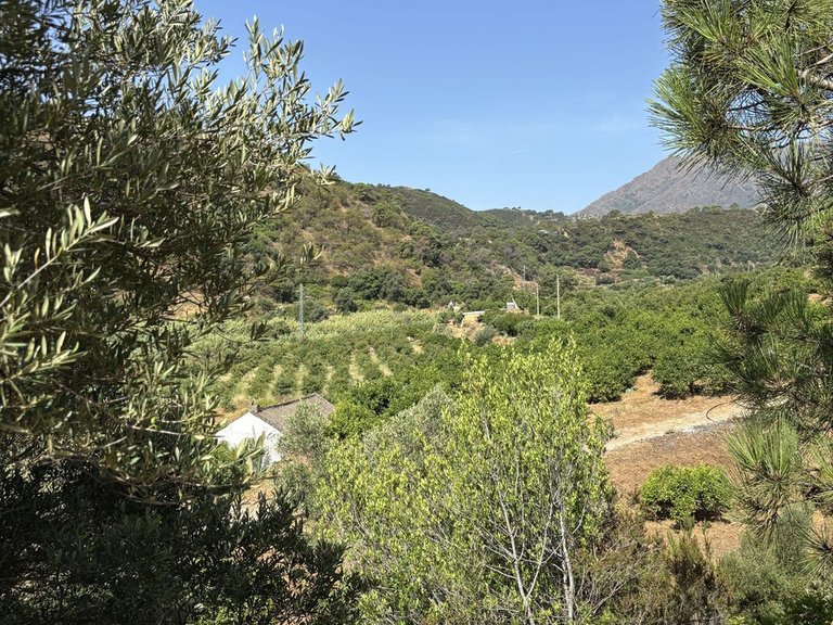 Plot for Sale in El Padron, Malaga 8