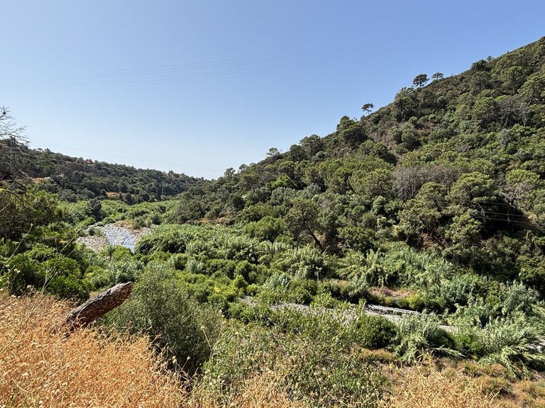 Plot for Sale in El Padron, Malaga 9