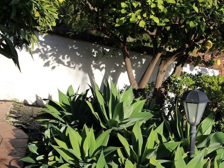 Villa for Sale in Coín, Malaga 28
