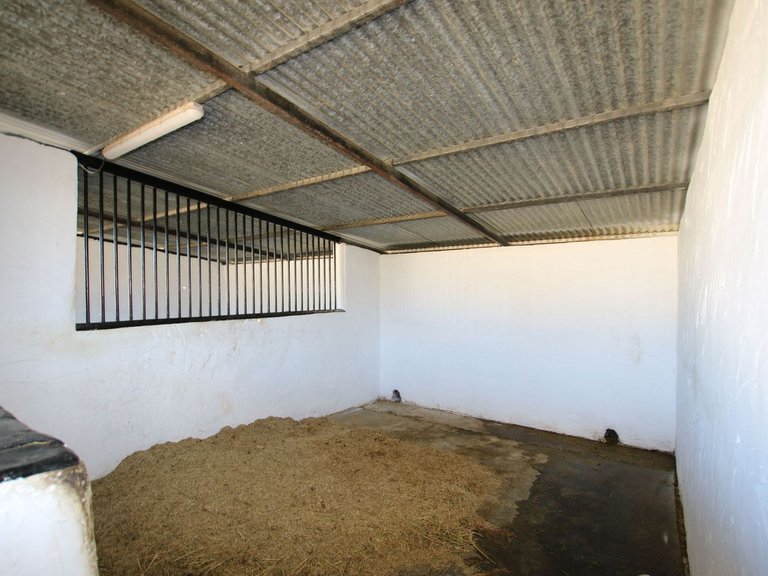 Villa for Sale in Coín, Malaga 53