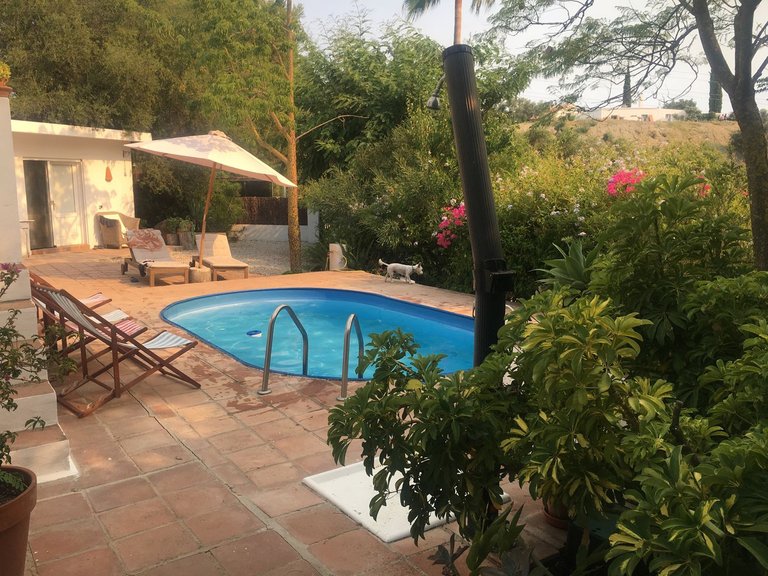 Villa for Sale in Estepona, Malaga 14