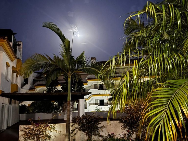 Apartment for Sale in Calanova Golf, Malaga 24