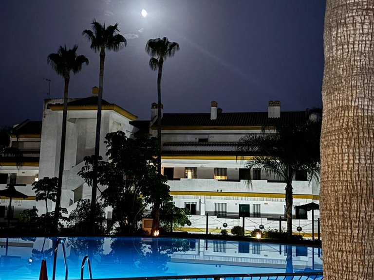 Apartment for Sale in Calanova Golf, Malaga 25