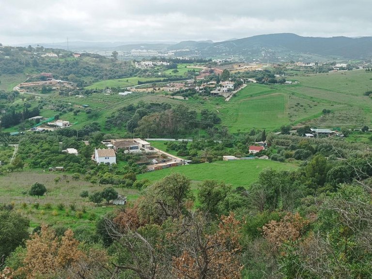Plot for Sale in Estepona, Malaga 1