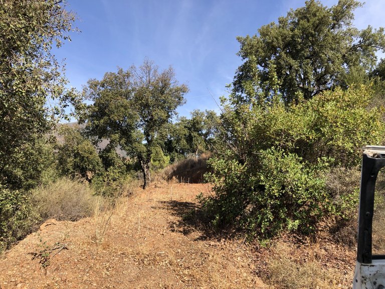 Plot for Sale in Estepona, Malaga 12