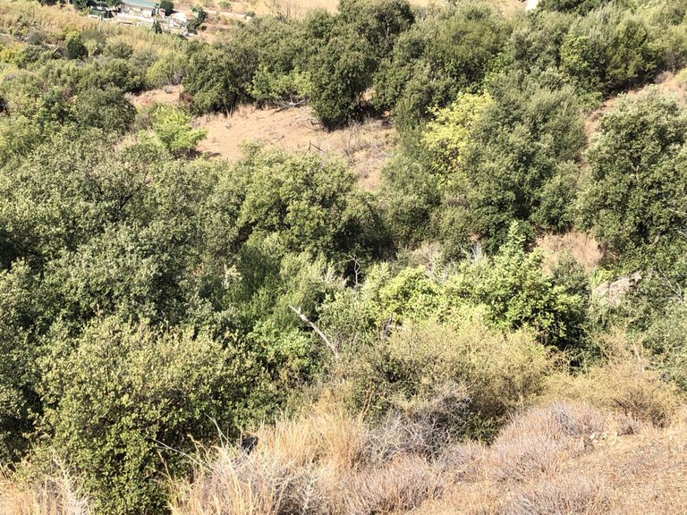Plot for Sale in Estepona, Malaga 14