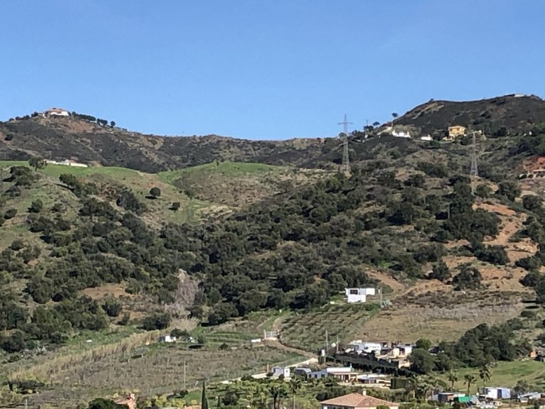 Plot for Sale in Estepona, Malaga 15