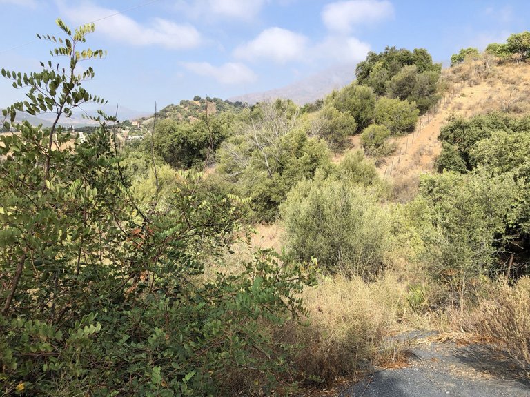 Plot for Sale in Estepona, Malaga 16