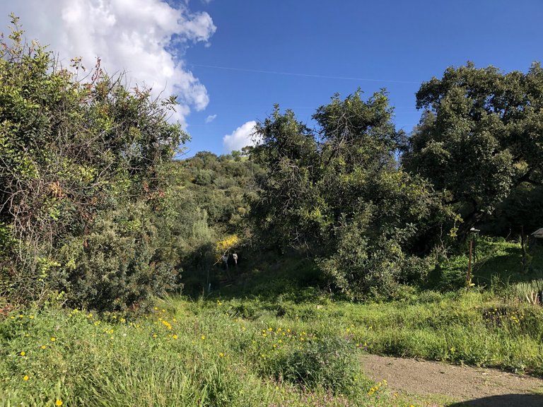 Plot for Sale in Estepona, Malaga 17