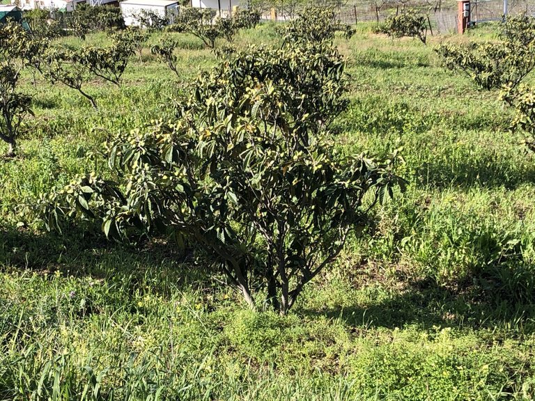 Plot for Sale in Estepona, Malaga 18