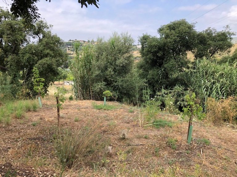 Plot for Sale in Estepona, Malaga 19