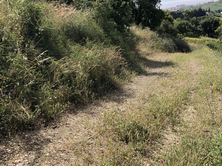 Plot for Sale in Estepona, Malaga 21