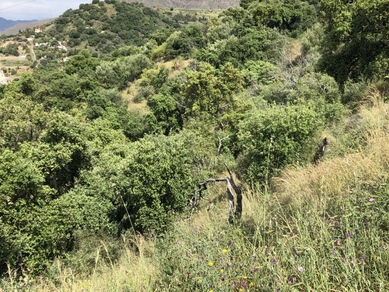 Plot for Sale in Estepona, Malaga 23
