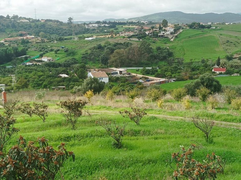 Plot for Sale in Estepona, Malaga 7