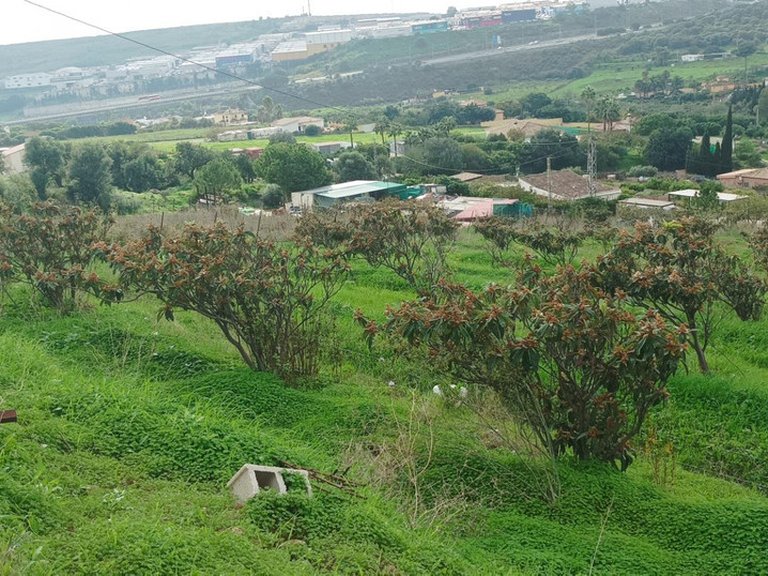Plot for Sale in Estepona, Malaga 8