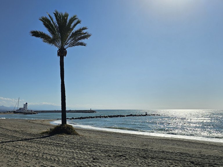 Apartment for Sale in La Duquesa, Malaga 41