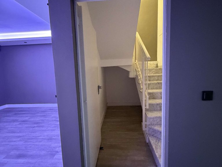 Villa for Sale in Marbella, Malaga 49