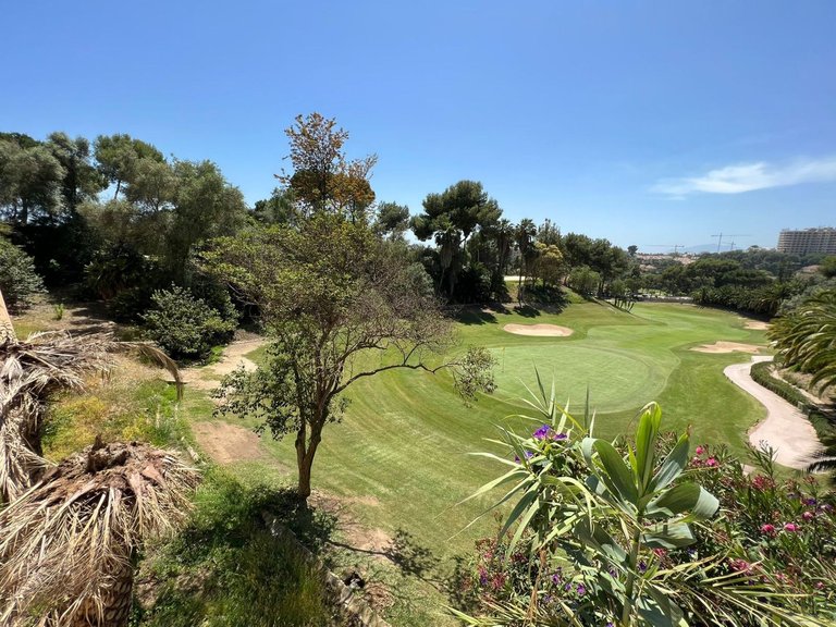 Villa for Sale in Río Real, Malaga 35