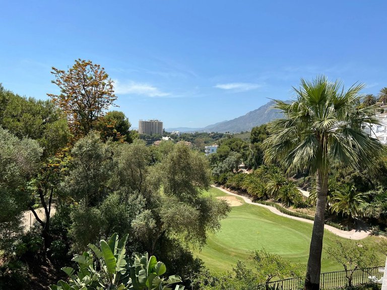 Villa for Sale in Río Real, Malaga 36