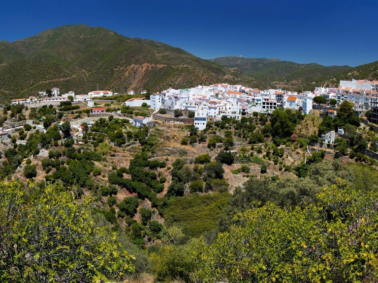 Apartment for Sale in Istán, Malaga 20