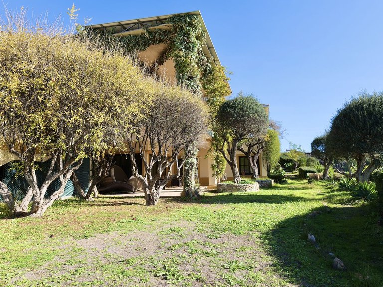 Villa for Sale in La Zagaleta, Malaga 34