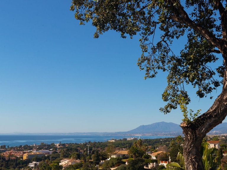 Villa for Sale in Elviria, Malaga 40