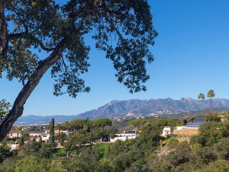 Villa for Sale in Elviria, Malaga 41