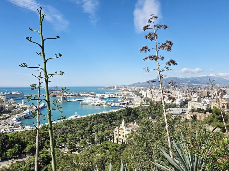 Apartment for Sale in Málaga Centro, Malaga 47