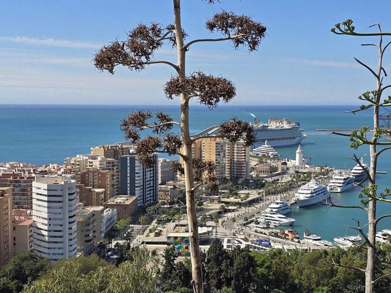 Apartment for Sale in Málaga Centro, Malaga 50