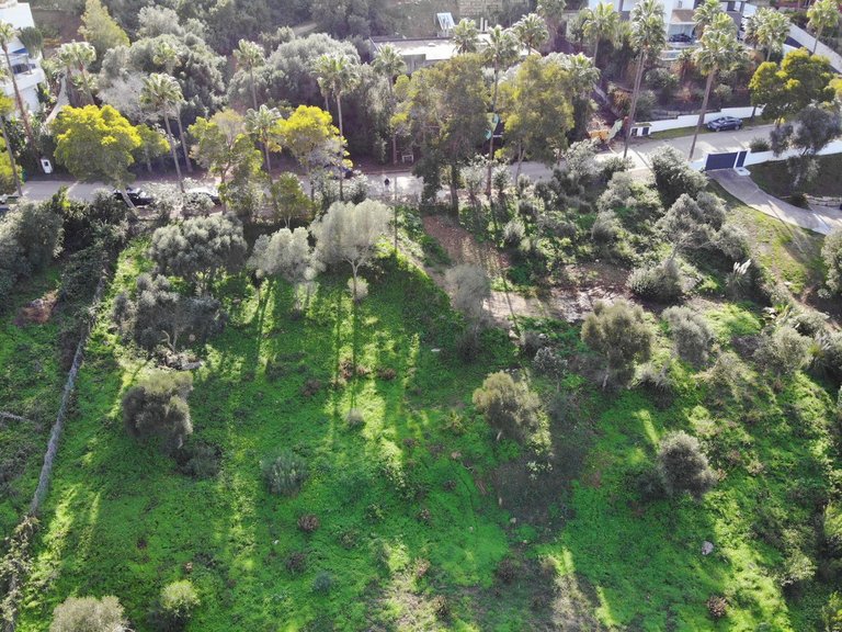 Plot for Sale in Sotogrande, Cadiz 3
