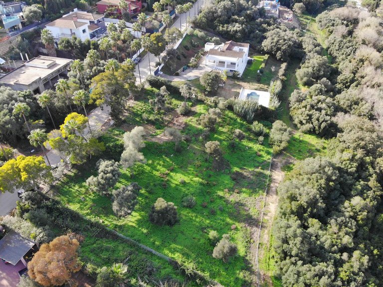 Plot for Sale in Sotogrande, Cadiz 6