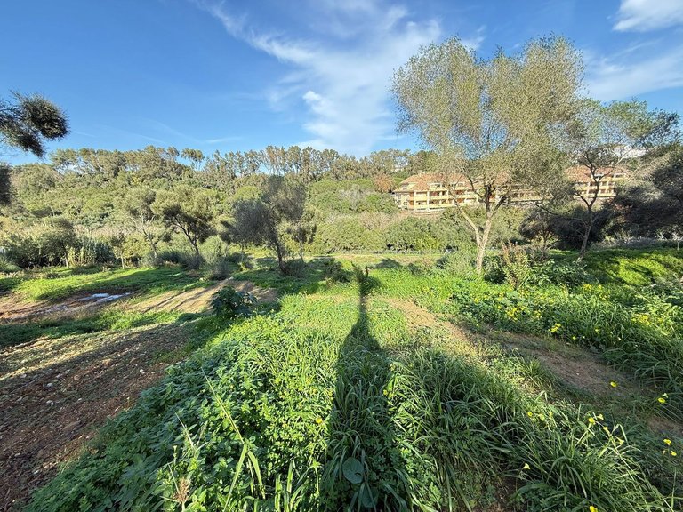 Plot for Sale in Sotogrande, Cadiz 7