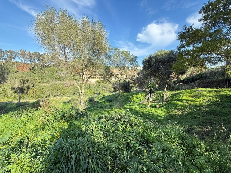 Plot for Sale in Sotogrande, Cadiz 9