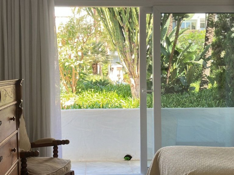 Apartment for Sale in Puerto Banús, Malaga 27