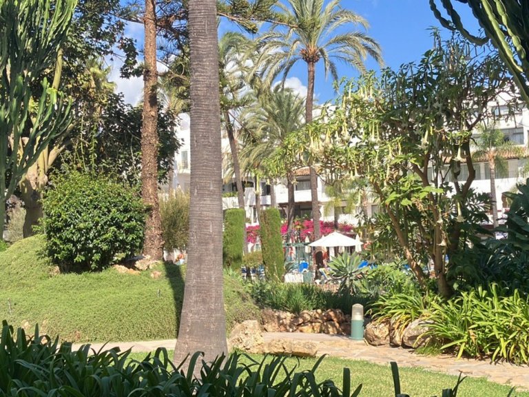 Apartment for Sale in Puerto Banús, Malaga 7