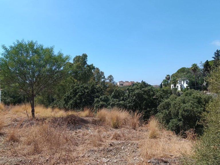 Plot for Sale in Elviria, Malaga 9