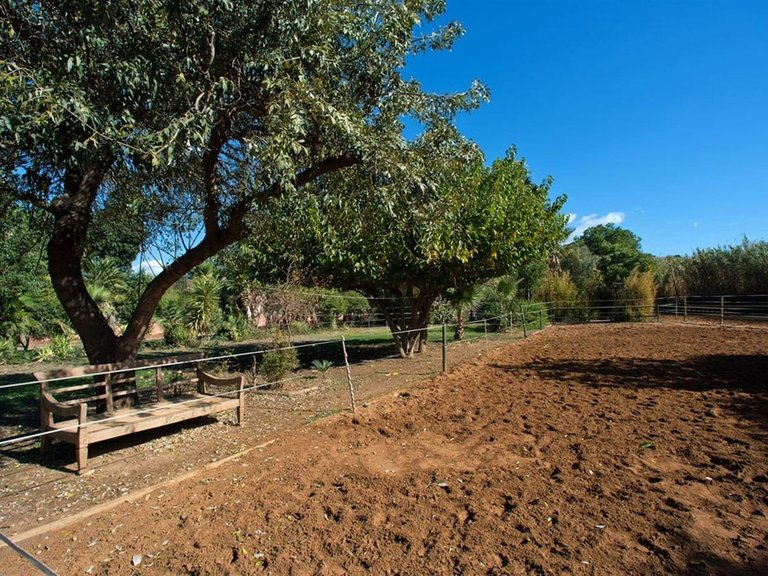 Villa for Sale in Estepona, Malaga 17