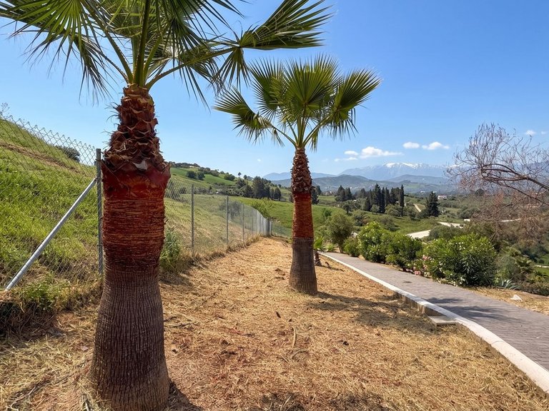 Villa for Sale in Coín, Malaga 12