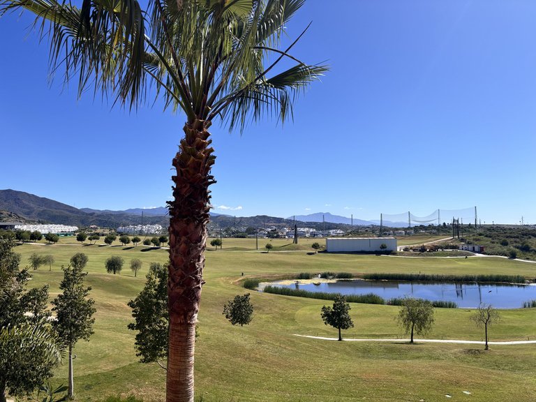 Villa for Sale in Estepona, Malaga 1