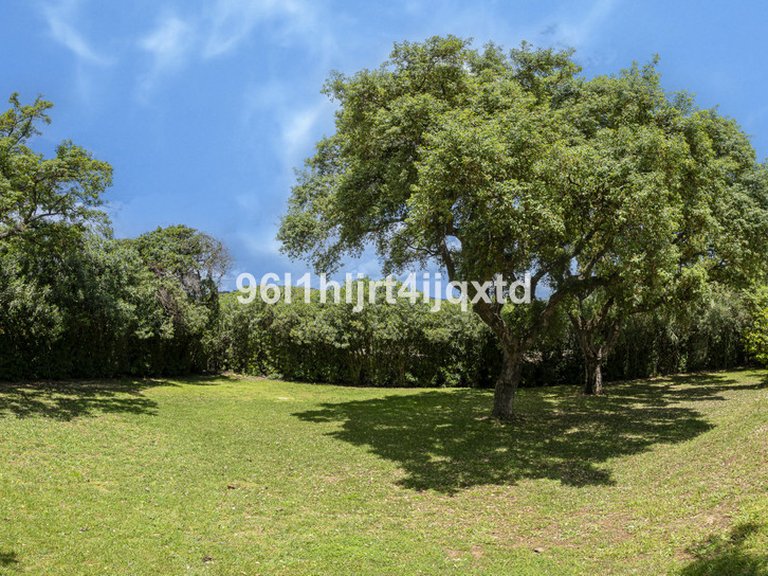 Villa for Sale in Sotogrande Alto, Cadiz 13