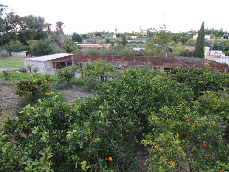 Villa for Sale in Alhaurín El Grande, Malaga 34