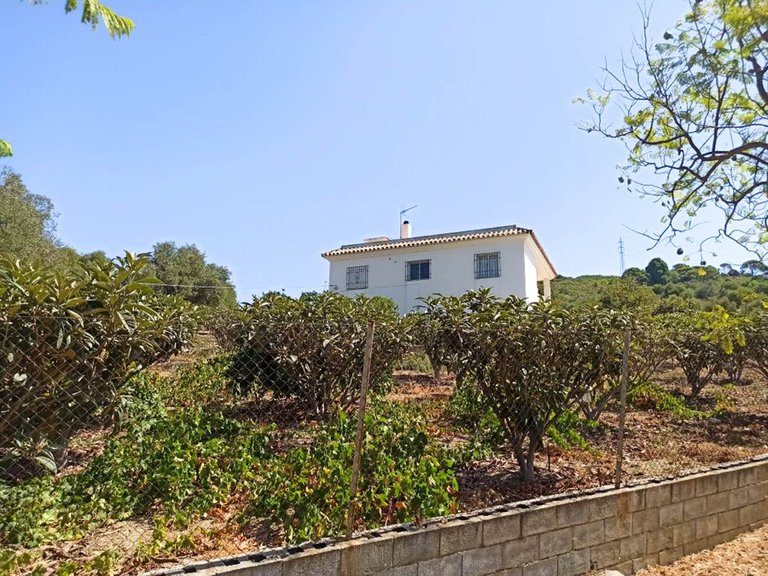 Villa for Sale in Estepona, Malaga 1