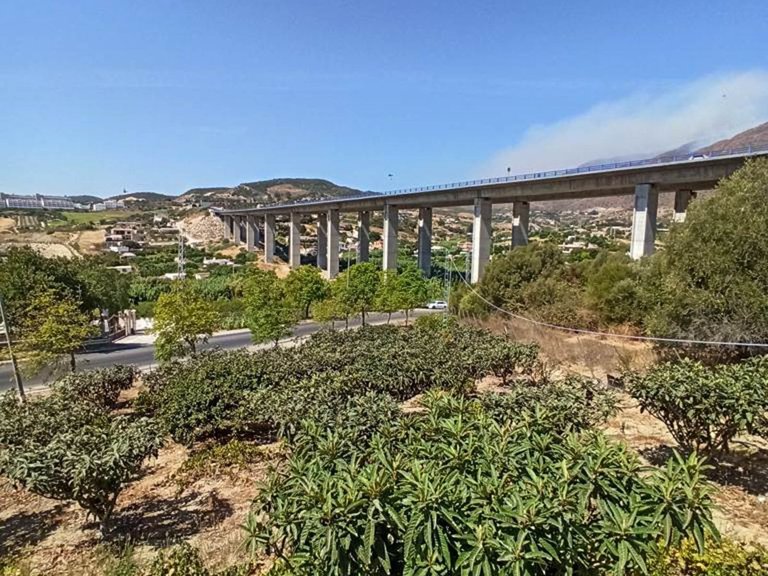 Villa for Sale in Estepona, Malaga 11