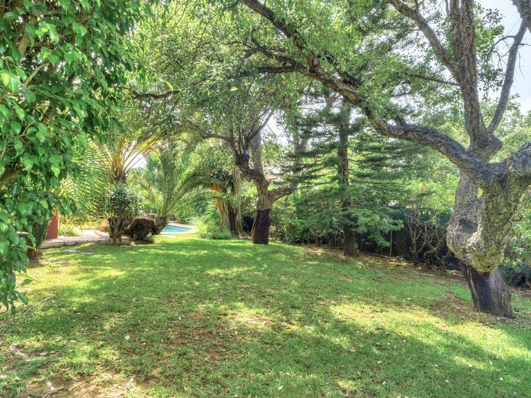Villa for Sale in El Rosario, Malaga 29
