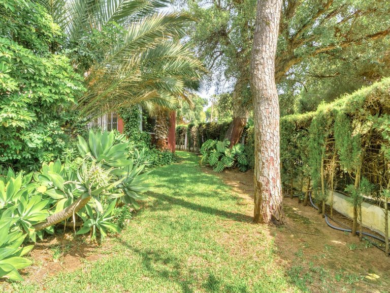 Villa for Sale in El Rosario, Malaga 36